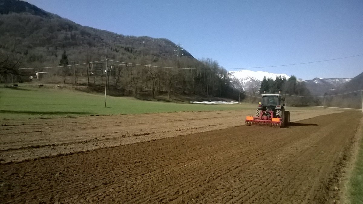 BirraAnimA's tweet photo. Work in progress!
#AnimAara #AnimAsemina #tuttiallavoro #agricoltura #ilnostroorzo #sumaaltravaj http://t.co/4XtUxkvA6J