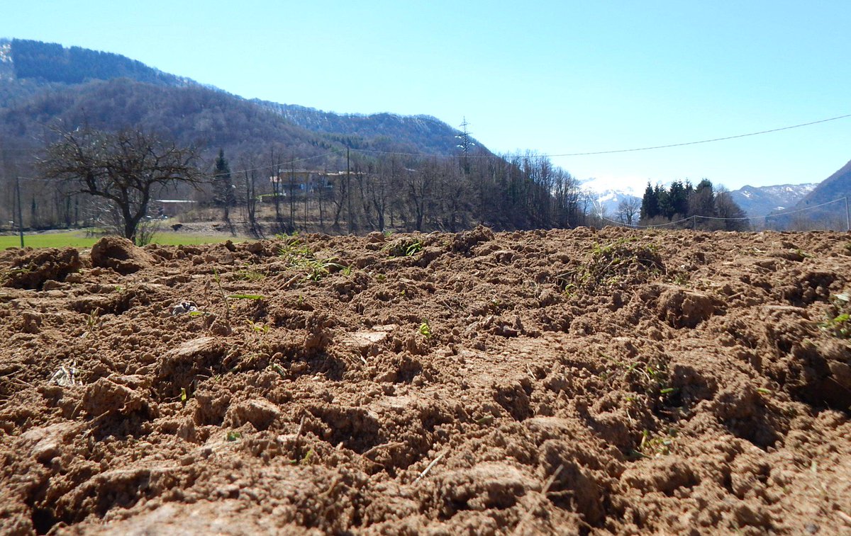 BirraAnimA's tweet photo. Work in progress!
#AnimAara #AnimAsemina #tuttiallavoro #agricoltura #ilnostroorzo #sumaaltravaj http://t.co/4XtUxkvA6J