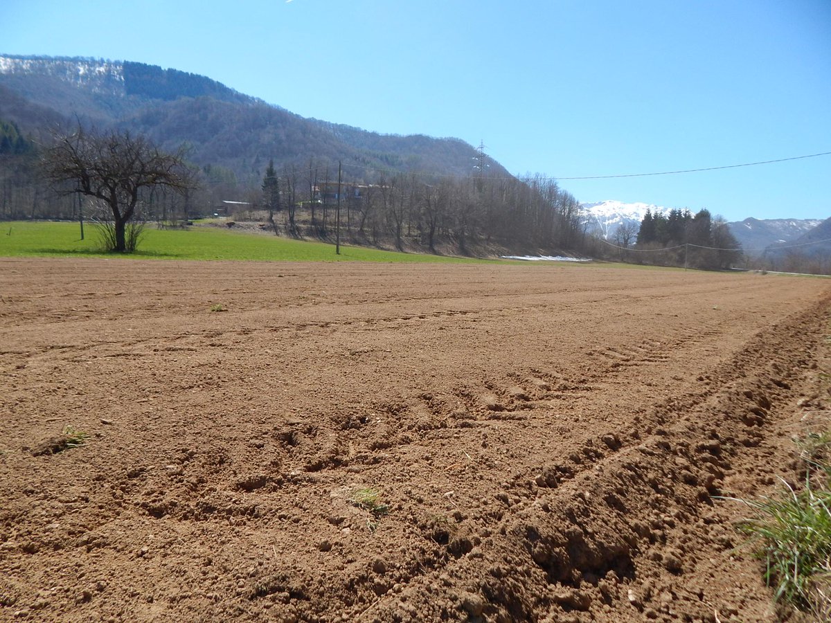 BirraAnimA's tweet photo. Work in progress!
#AnimAara #AnimAsemina #tuttiallavoro #agricoltura #ilnostroorzo #sumaaltravaj http://t.co/4XtUxkvA6J