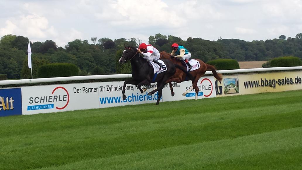 German Racing Review tweet media