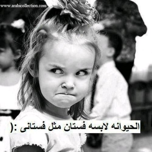 bahaabm765's tweet photo. http://t.co/ocNEuU7Nsj