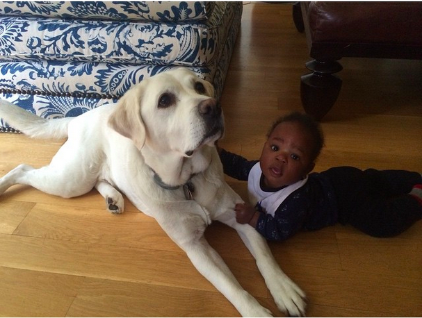 BabyDreamsGame's tweet photo. We passed the Monday blues but that doesn't mean you don't need a pick me up. Here's this week's #TooCuteTuesday! http://t.co/1kex3G14iE