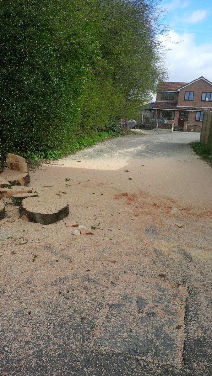 TreeManWolfe's tweet image. For tree surgeons it snow all year round ;)