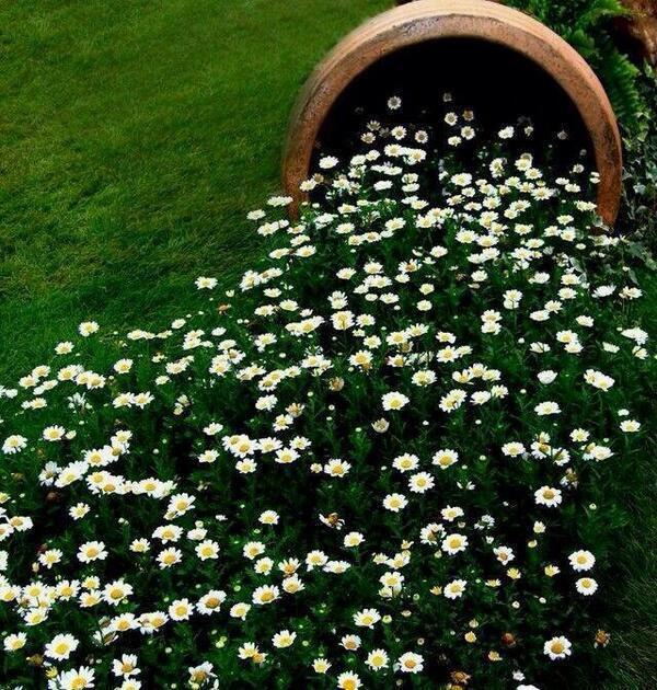 NecmiGoy's tweet photo. http://t.co/NB8YDTuqsr