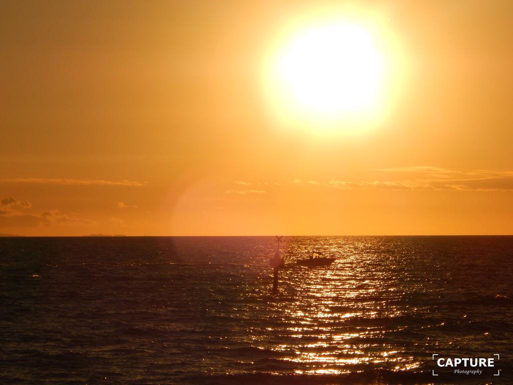 CapturePhotos_ tweet picture