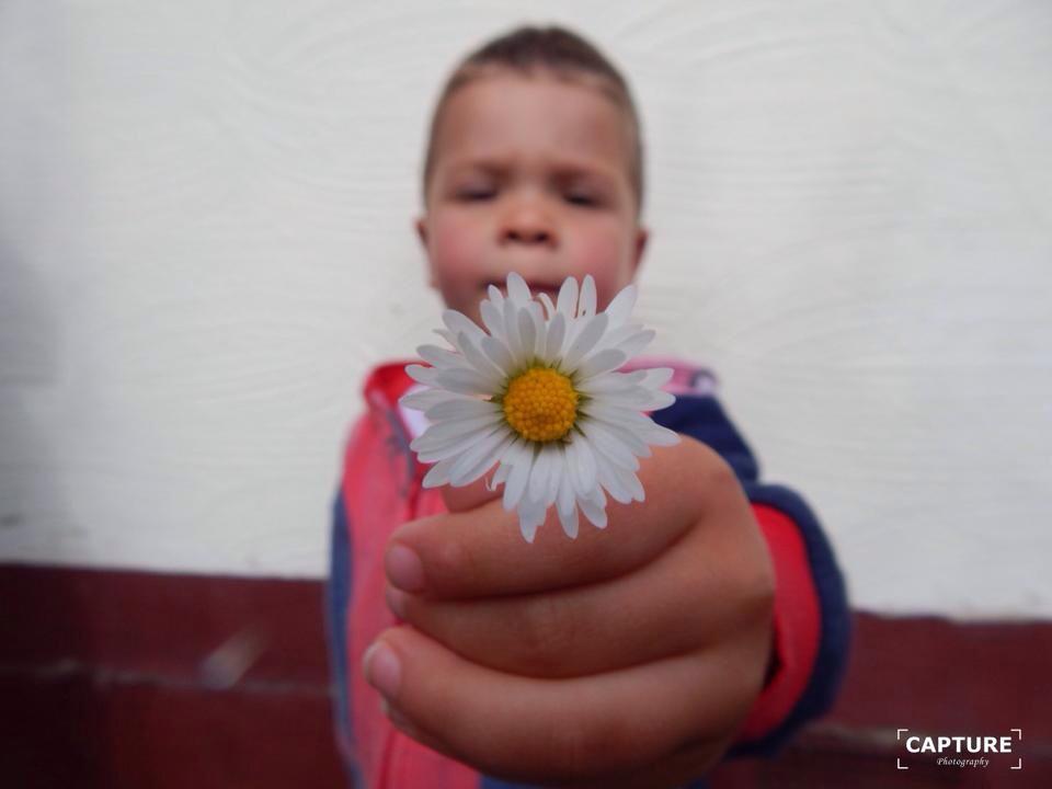 CapturePhotos_ tweet picture