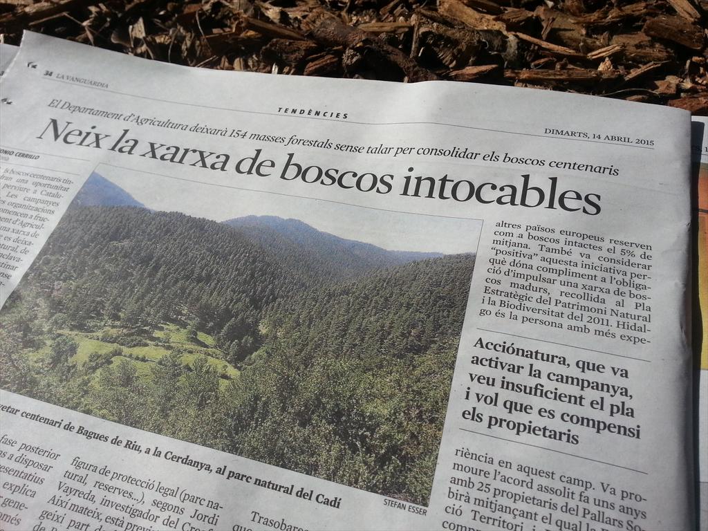 SelvansONG's tweet photo. Avui p.34 @LaVanguardiaCAT ! A poc a poc, però anem avançant amb #boscosmadurs / Insuficient 0,15% però, Seguim! http://t.co/FUqgITd64Z