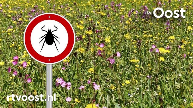 rtvoost's tweet image. Week van de Teek: 6 vragen over teken en de ziekte van Lyme bit.ly/1DdM2xS #rtvoost