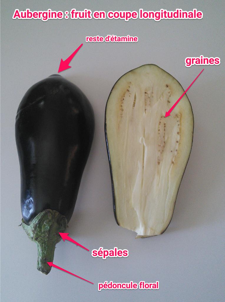 SVTSugerTab2's tweet photo. #tweeteTsvt #Ts #fruit http://t.co/twlPjFxA4t