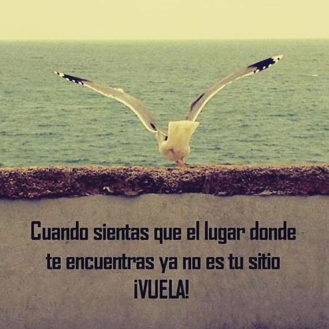 Centro Al Alma (@centroalalma) on Twitter photo 