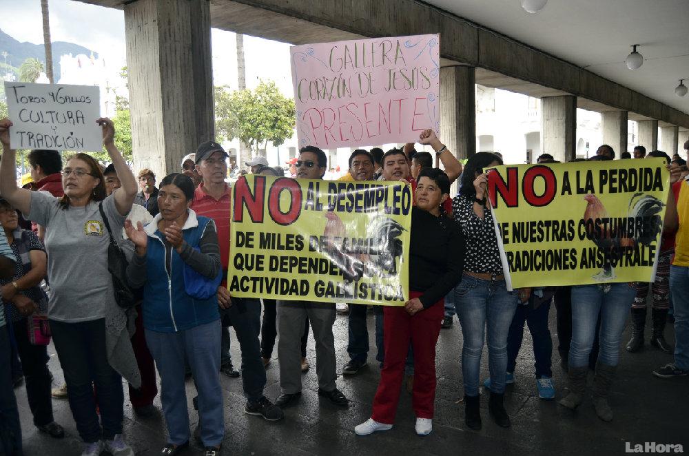 pilasmauri's tweet image. Taurinos piden revivir la fiesta bit.ly/1OwiWPi #QuitoVigila