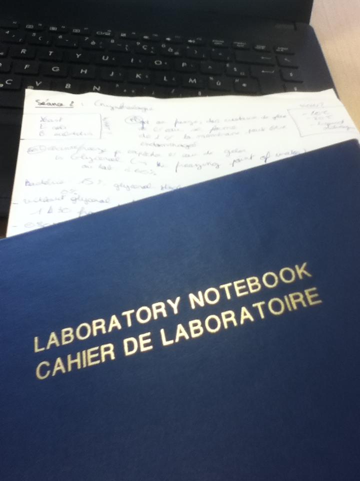 Après avoir congelé des E. Coli, on prépare la dilution en série et le CFU pour repérer les survivantes! #ThermalWars