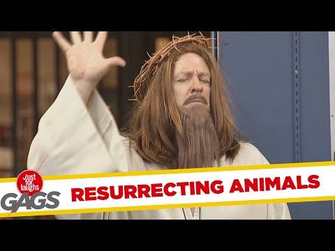 loanproject's tweet photo. Jesus Brings Animals to Life http://t.co/zX1Awu9Bdg #student #loan http://t.co/KiyBfO3x9z