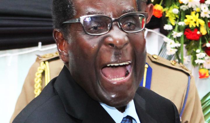 JeanneVWHerald's tweet photo. This might explain Mugabe's 'white' comment http://t.co/oABczu8ui1 @DA_News @Anarchy_JHB @Municipality @randpigspot http://t.co/9p9HBt2Mwc