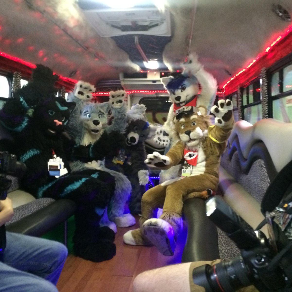 ShishaSheppy's tweet photo. @partyfurcon #FWA2015 #Furbus was soooo awesome! I just can reccomend joining the #Furrybus gathering! http://t.co/XHRdaSvEJq