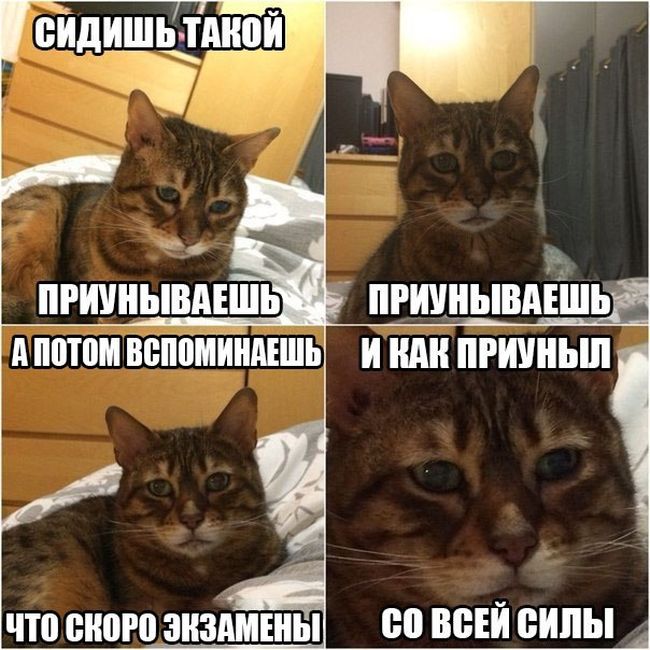 ArlavichusA's tweet photo. @sirota_13  твоя любимая тема) http://t.co/mVJKq4WZX4