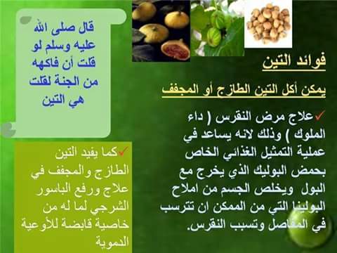khalidzaouhra's tweet photo. http://t.co/3rsUcxYZZW
