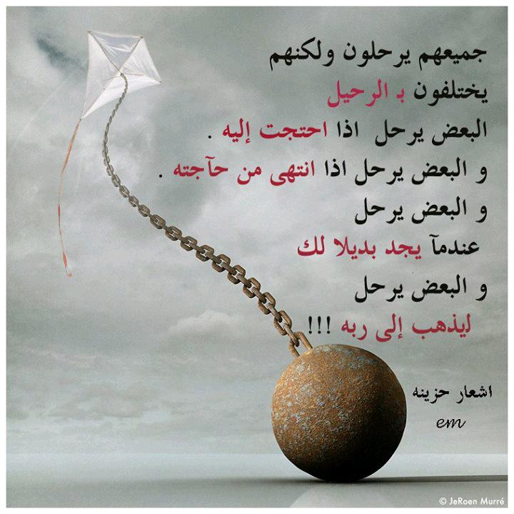 ZozZozaa09 tweet picture