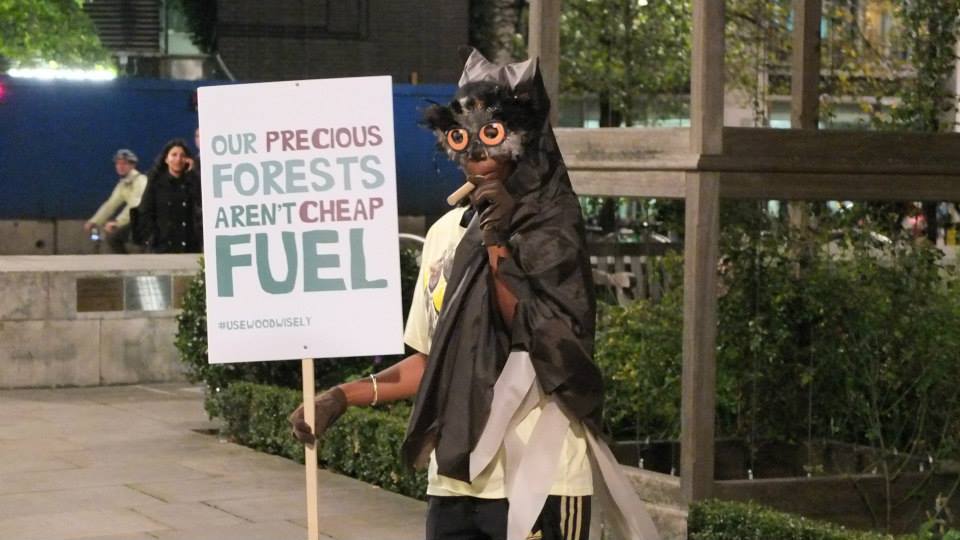 WoodWiseOwl's tweet photo. Objections raised as green light given to Welsh biomass plant: http://t.co/OjyMK3rjjG  #biomass #wood #trees http://t.co/rxYzMlKHZ7