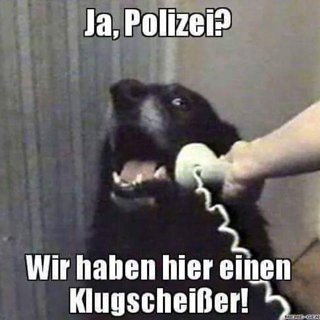 malteplays's tweet image. 