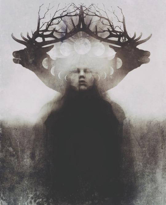 Ölü Ruhlar Ormanı tweet media