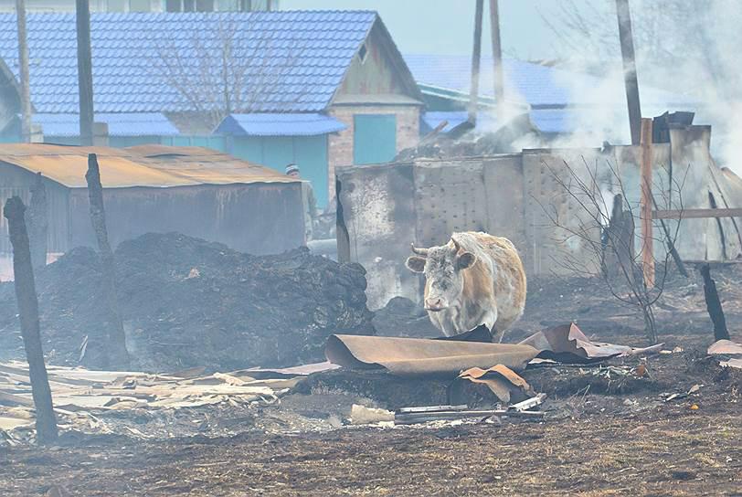 Нацбанк сохранил учетную ставку на уровне 30% - Цензор.НЕТ 1608