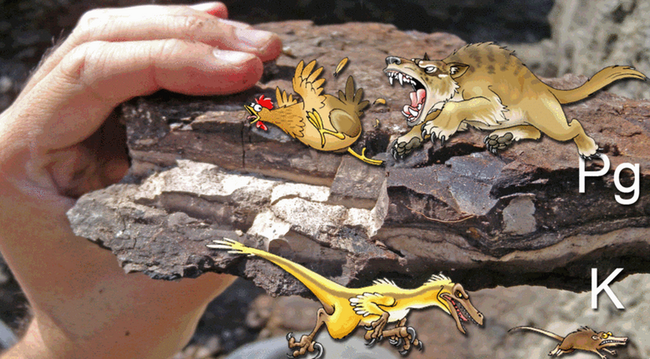 IGeociencias's tweet image. Cambio de sentido #GeoHumor