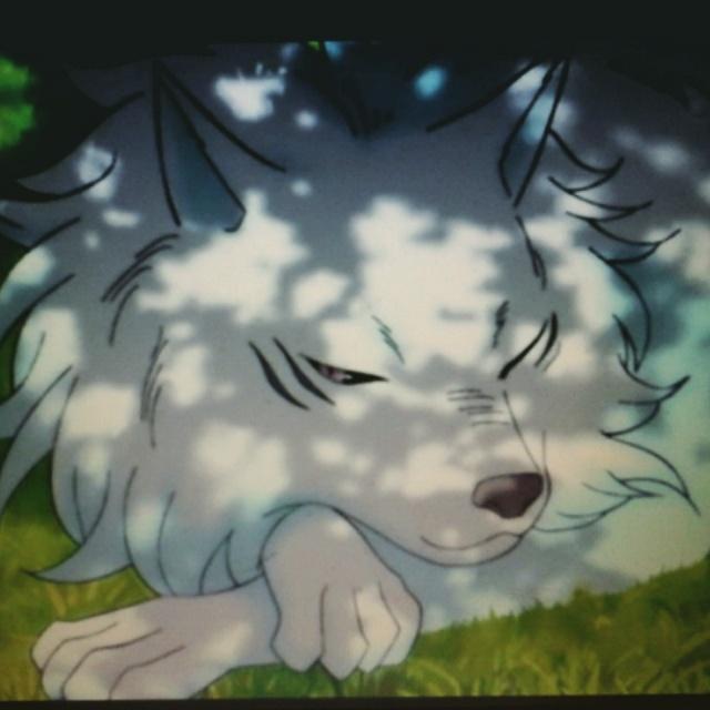 beel_belphie's tweet photo. Terry is so cute! 😍😍😍
#Toriko #battlewolf http://t.co/j3eNdPLTnh