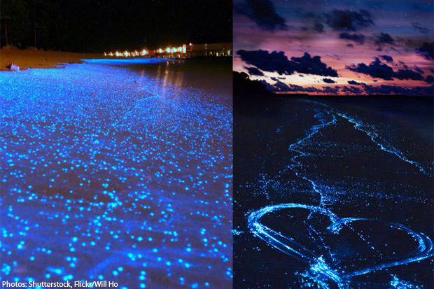 Это вечность где в морской воде