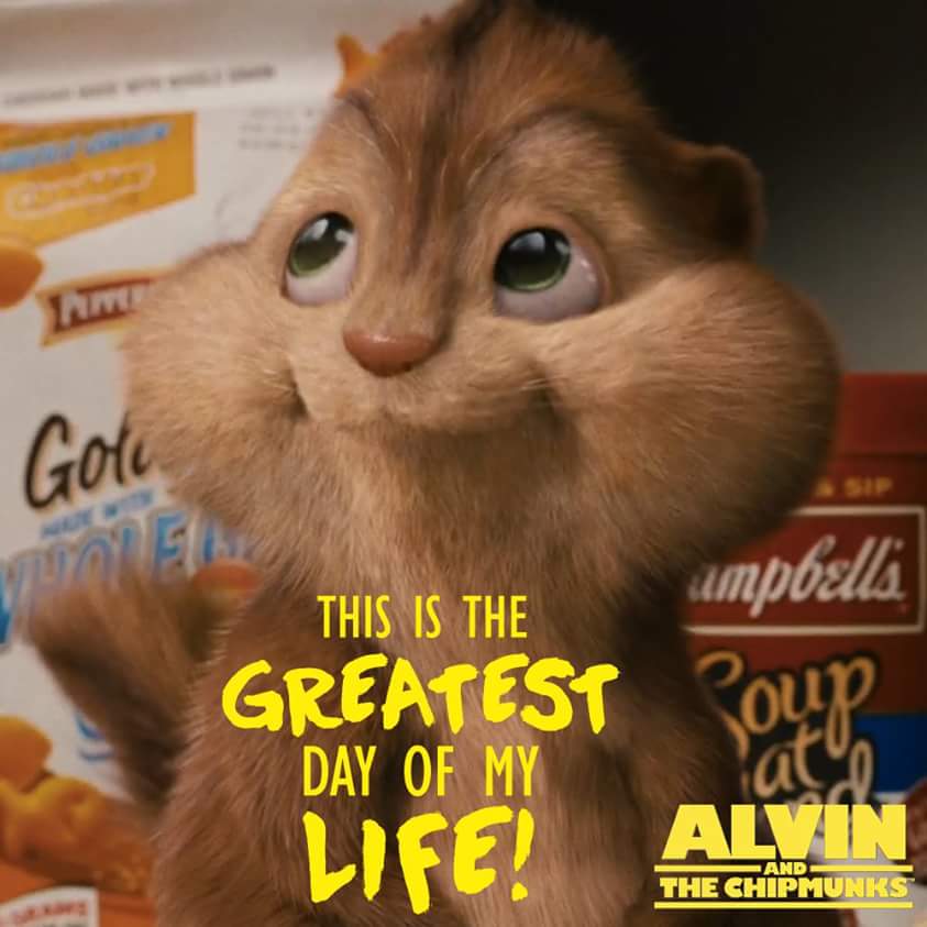 realsofiamiller's tweet image. Theodore awwww so cute @TheoSweetMunk