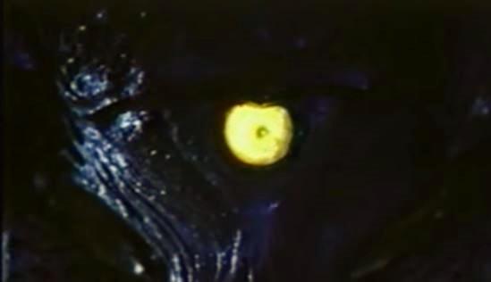 MouthyMissMay's tweet image. Eye Contact = Breakfast, Lunch, &amp;amp; Dinner #contamination #aliencontamination #80s #scifi #horror