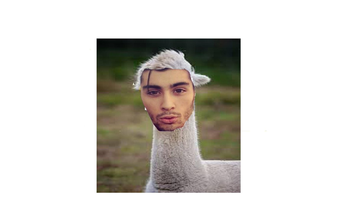 Bronson803's tweet photo. Zayn actually looks half decent now http://t.co/8saci63iTR