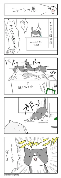 ねこまんが。台所のカウンターは危ないから乗ってほしくないんだよなぁ。。 