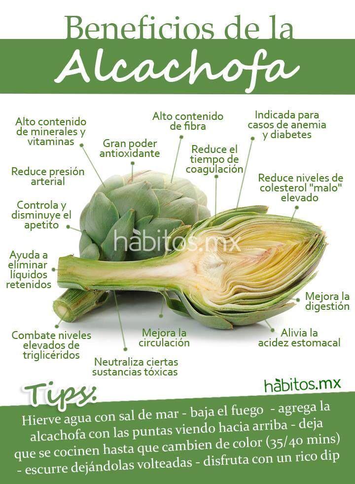 Frihogar's tweet photo. En @VerdurasTweets nos hablan sobre los beneficios de la #alcachofa
http://t.co/oSbqZ6tAX1
http://t.co/HGbxJlpt4w http://t.co/2Q7jemlnPp