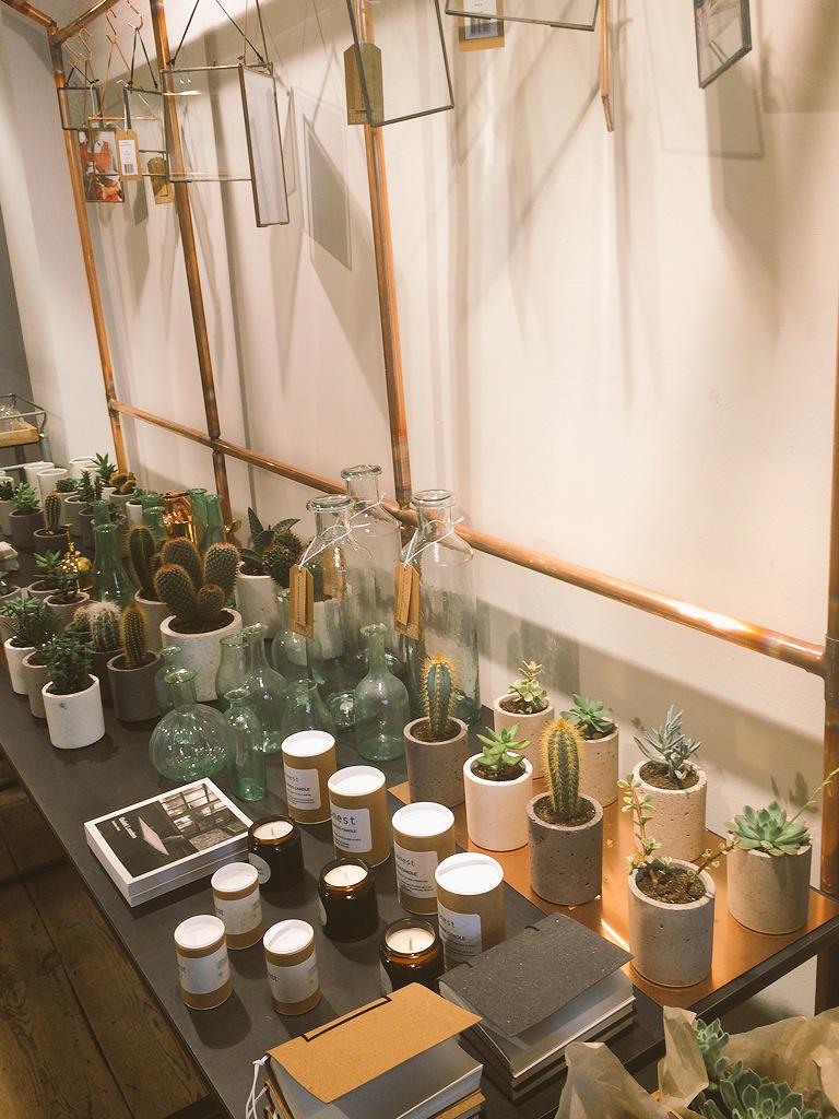 RUPerki's tweet photo. @TOASTtravels 
#toastandbotany in the hill. http://t.co/o5VgF0RnOV