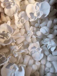 LEO Lane tweet media