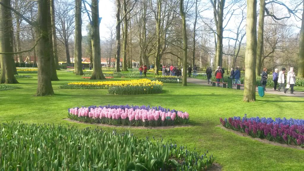 AlexanderDikken's tweet photo. Vandaag mooie projecten bezocht @visitkeukenhof http://t.co/7zjnoC0Lig