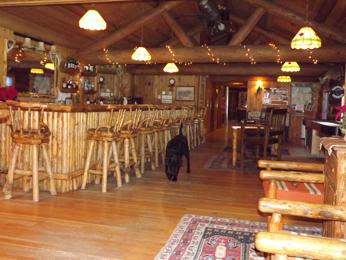 BrooksLakeLodge's tweet photo. Floor inspector Moose makes sure not a crumb was missed.

Brooks Lake Lodge and Spa, Wyoming
http://t.co/sInXVS7Nad http://t.co/OJma1xiyJO