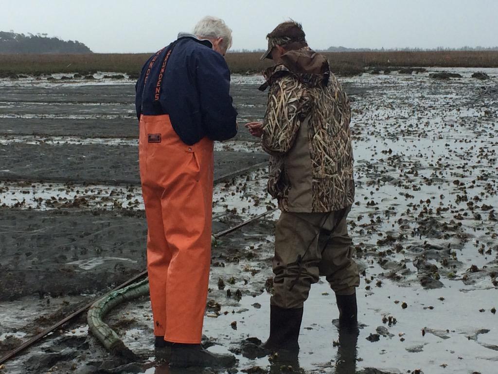 AG Mark Herring tweet media