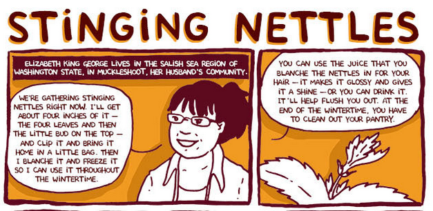 AdAstraComics's tweet image. RT@TheLadydrawers: STINGING NETTLES #Indigenous #Comics #NativeComics #Decolonize #Nutrition 
truth-out.org/news/item/3018…