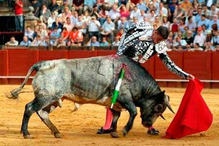 toroticket's tweet photo. .@_MARCOAGOMEZ_ vuelve a vestirse de luces. El 2 de mayo torea en Ampuero. Entradas aquí: https://t.co/9Olk8fZBEs http://t.co/S2RQWLUU3l