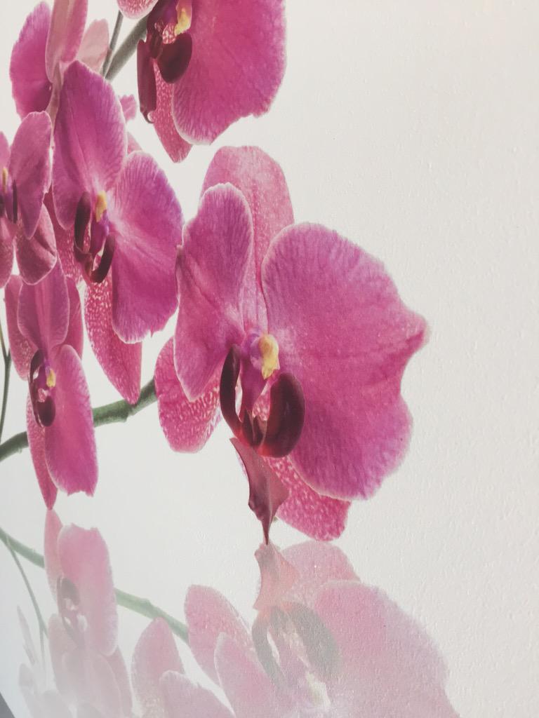 stucydee's tweet photo. Vandaag mooie #fotostuc opgeleverd 👌🏻 erg blij mee @fotostuc http://t.co/RkoKHt9sgQ