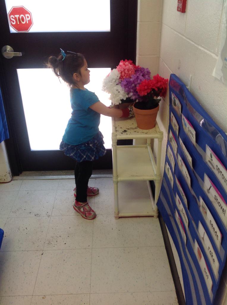 parkview_fdk_bb's tweet photo. Working at the flower shop! @ParkviewPS http://t.co/6a5uoAAO3x