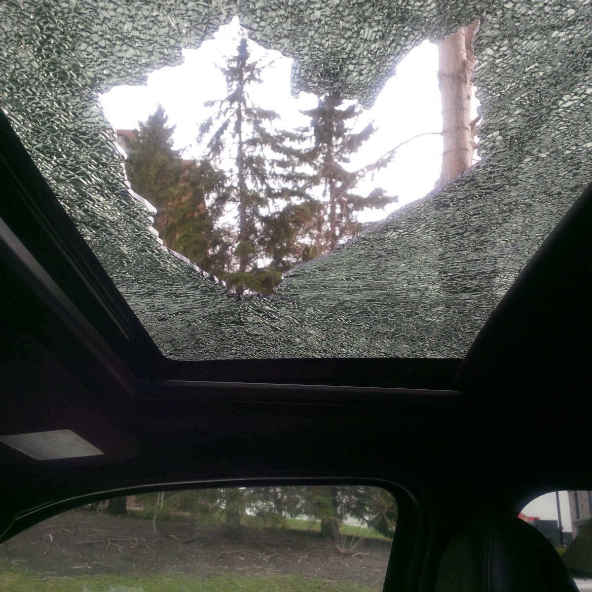 Some days you count your blessings. This happened on my drive up to Edmonton today. Glad it just smashed glass. :)