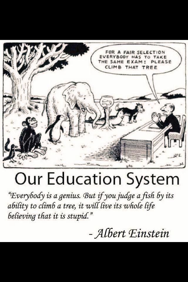 AmyWebb8's tweet image. Aspiring to change people's Perspective on how to improve. #DifferentPaths #SameGoal🐧🐶🐘🐠🐒