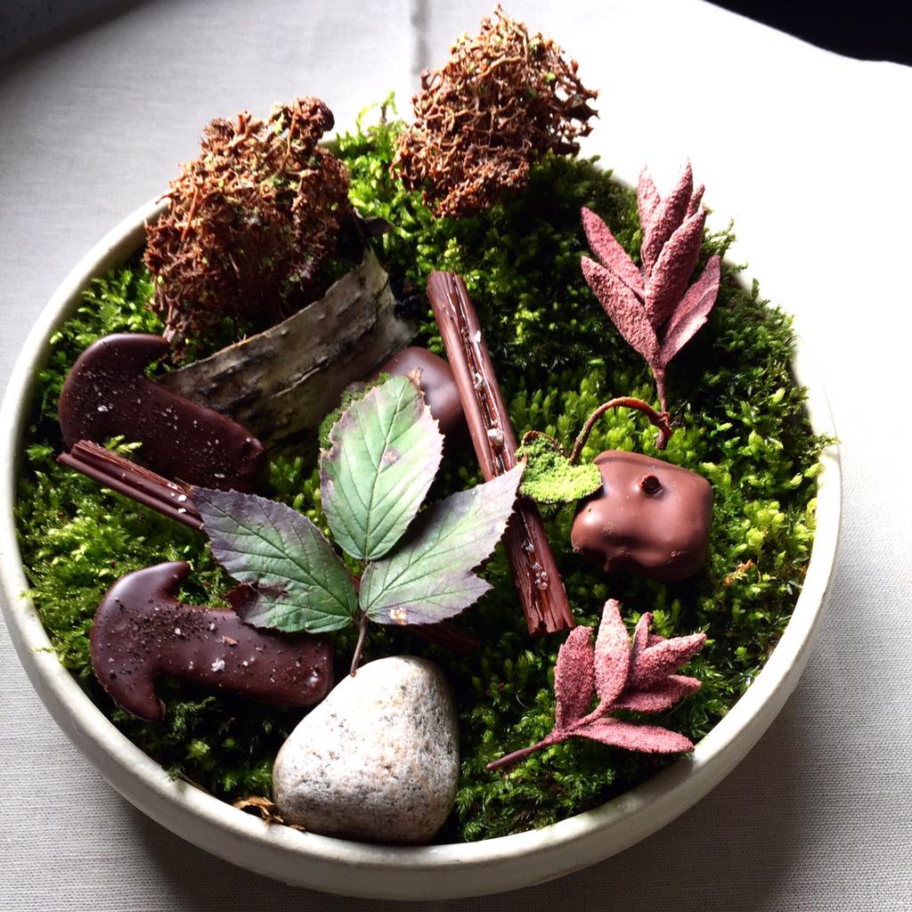 Some stuff from the forest covered in chocolate