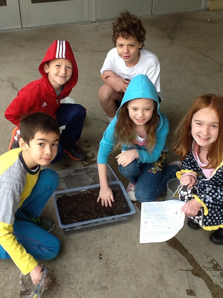 cappy812's tweet photo. Planted last week. Thanks @HilltopIU http://t.co/f8dbQCBwVY