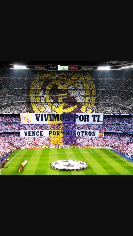 FerFdzCastello's tweet photo. Vivimos por ti vence por nosotros http://t.co/5RYiJE01mF