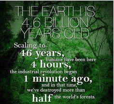 SaveTheTreeeees's tweet image. The scary truth about #deforestation