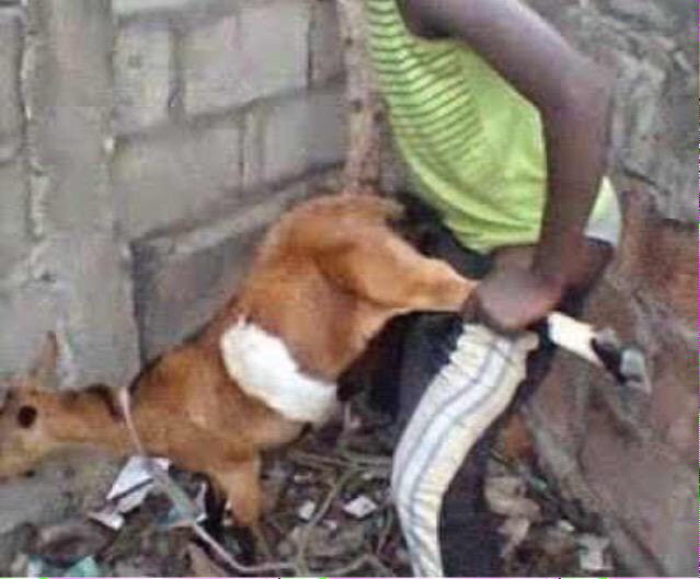 RETWEET IF YOU WOULD DO THIS TO A GOAT. 
